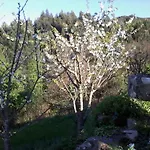 בית נופש Charming House In Covelas With Pool And Mountain View *