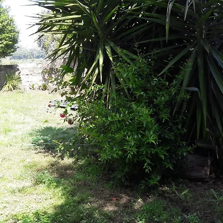 Charming House In Covelas With Pool And Mountain View Póvoa de Lanhoso