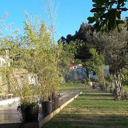 Charming House In Covelas With Pool And Mountain View Póvoa de Lanhoso