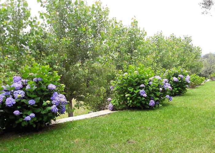 Charming House In Covelas With Pool And Mountain View * Póvoa de Lanhoso