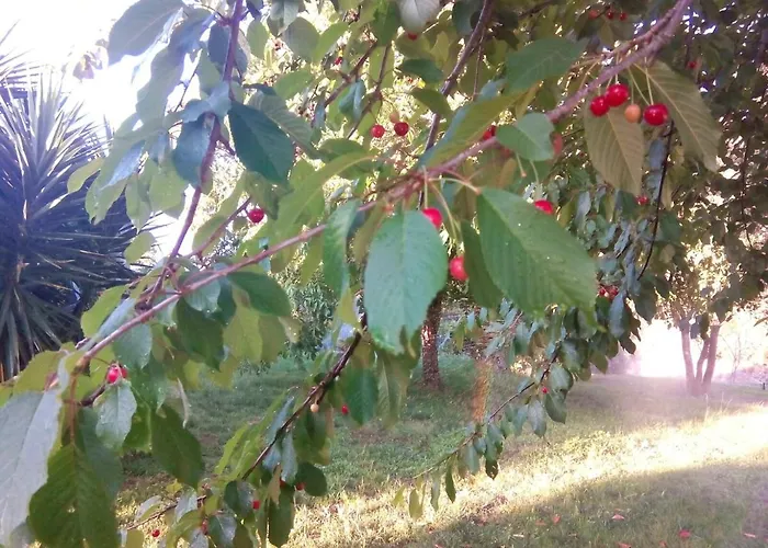 Prázdninový dům Charming House In Covelas With Pool And Mountain View Póvoa de Lanhoso